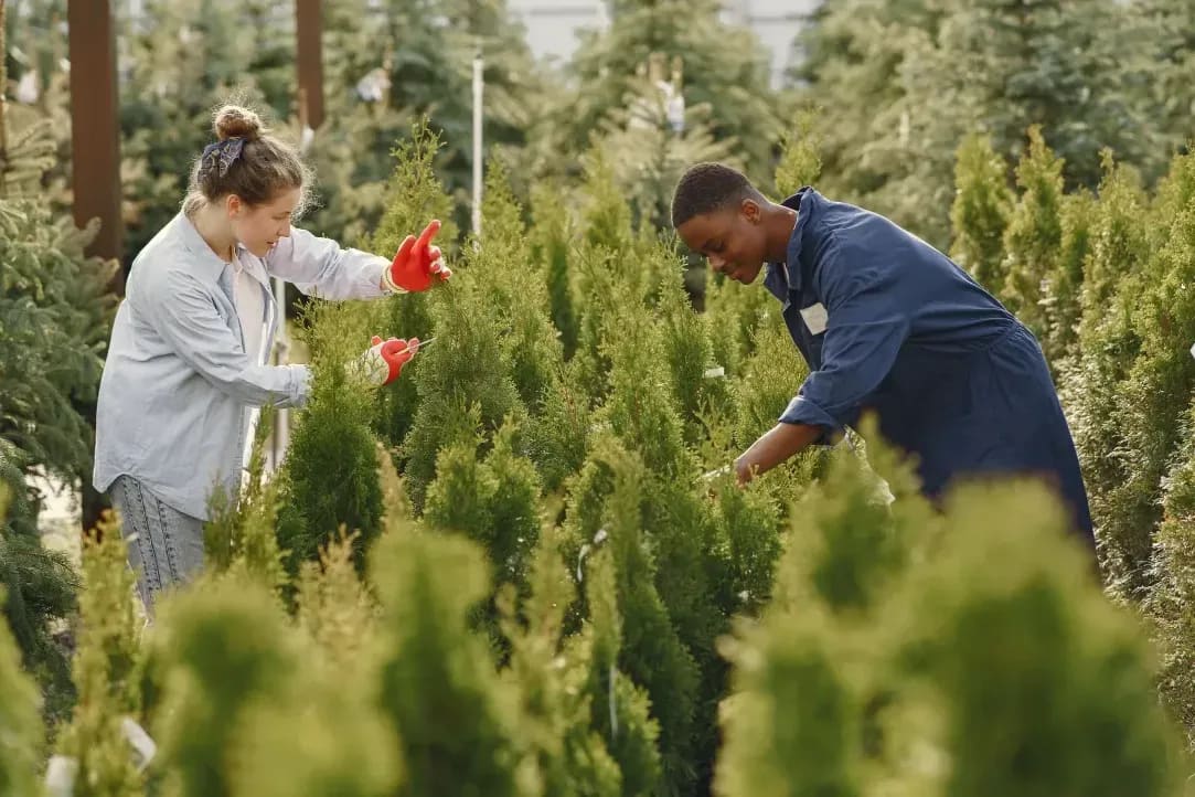 Jardin Harmonie 13